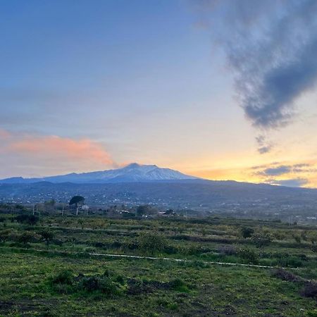 Vista Etna House Lejlighed Fiumefreddo di Sicilia Eksteriør billede