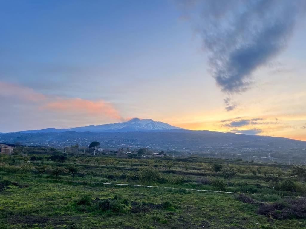Vista Etna House Lejlighed Fiumefreddo di Sicilia Eksteriør billede