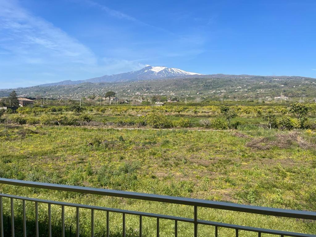 Vista Etna House Lejlighed Fiumefreddo di Sicilia Eksteriør billede